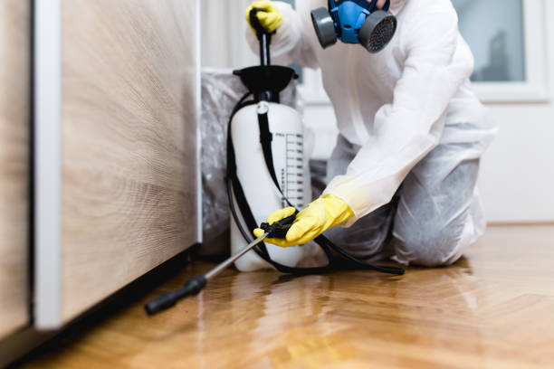 Best Pest Inspection Near Me  in Yazoo City, MS