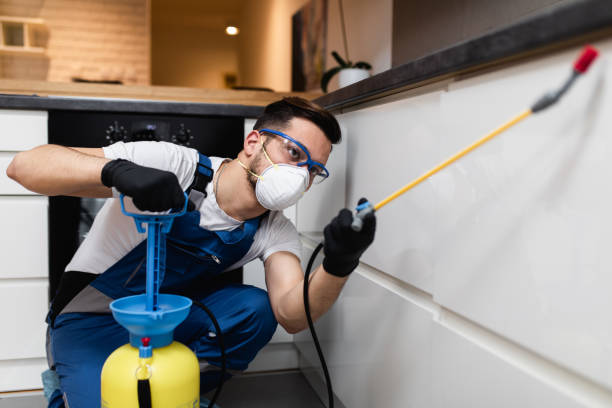 Best Wasp Removal Services  in Yazoo City, MS