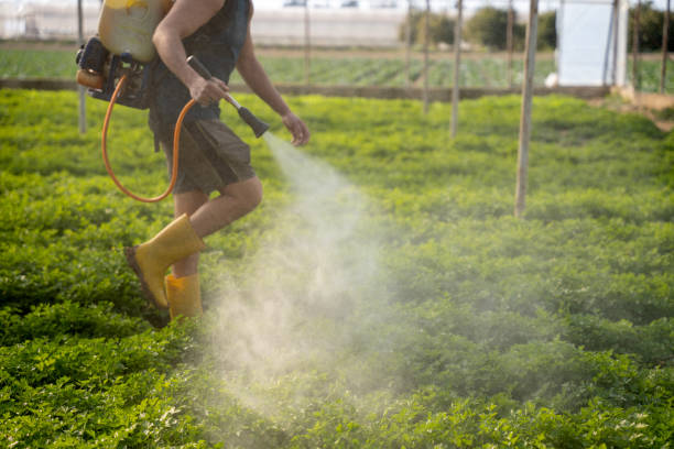 Best Commercial Pest Control Services  in Yazoo City, MS