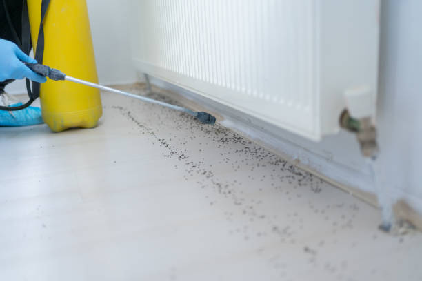 Best Local Pest Control Services  in Yazoo City, MS